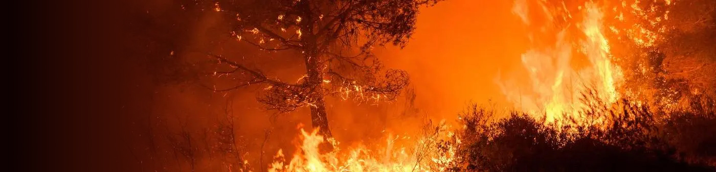 bandeau incendie foret